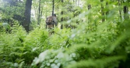 Gerber – Makkelijk is niet