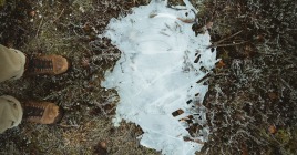 5 gode grunde til at vælge sko lavet af læder