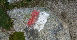 Come preparare bene il proprio GR?