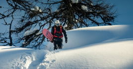 Snowboard Vinter
